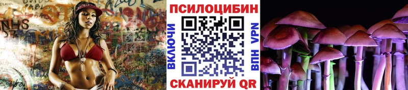 Псилоцибиновые грибы GOLDEN TEACHER  Георгиевск 