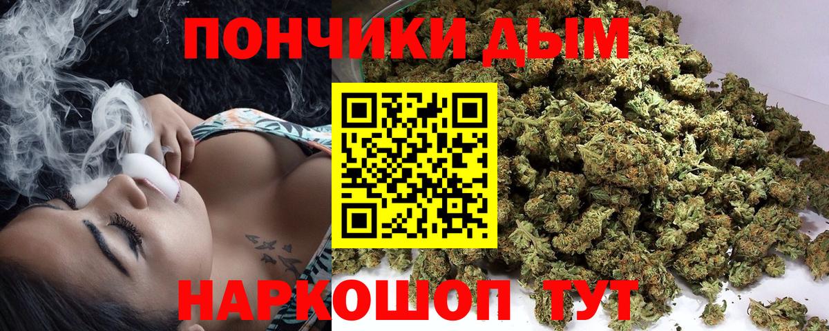 Шишки марихуана планчик Георгиевск